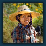 Anja Bender- Gesichter Myanmars - Reisernte