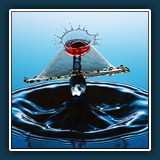 Bergen TAT2  
  Peter Bergen