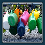 Bildpaar 1a
  Roswitha Flury