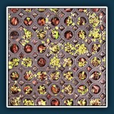 Bildpaar 2a
  Roswitha Flury