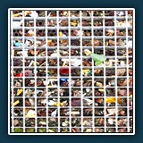 Bildpaar 2b
  Roswitha Flury