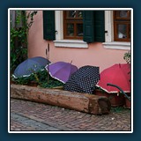 Bunt ist die Welt  
  Alfred Schneider