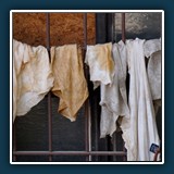 Bildpaar 3a
  Roswitha Flury