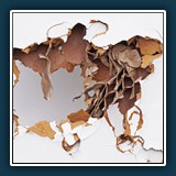 Bildpaar 4a
  Roswitha Flury