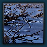 Rosi Flury - Hochwasser im Winter
  Sony Alpha 37
  1/250 sec., f 7,1, ISO 100, 50 mm  (35 mm Äquivalent ~ 75 mm)