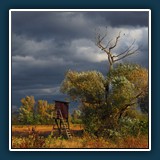 Walter Anstett - Herbst bei Lambsheim
  OLYMPUS  E-M1MarkII, OLYMPUS M.45mm F1.8
  1/800 sec., f 6.3, ISO 200,  -1 EV, Brennweite 45 mm    (35 mm Äquivalent ~ 90 mm)
  