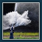 Peter Bergen - Feldwasser reduz
  Canon EOS R5, 150-600mm F5-6.3 DG OS HSM ; Sports 014
  1/4000 sec., f 6.3, ISO 800,  Brennweite 600 mm
  