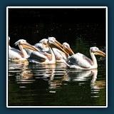 Hans Kirsch - Armada 1
  NIKON D750, 24.0-120.0 mm f/4.0
  1/160 sec., f 11, ISO 100,  Brennweite 120 mm  (35 mm Äquivalent ~ 180 mm)
  